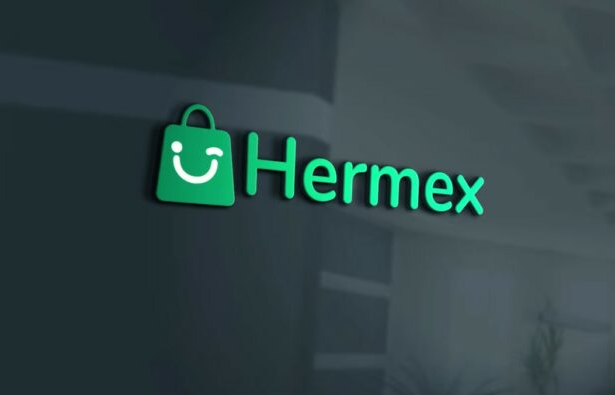 Platforma e krijimit të dyqaneve online Hermex fitues në programin fintech Elevator Lab